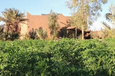 پانسیون Dar Nkhal