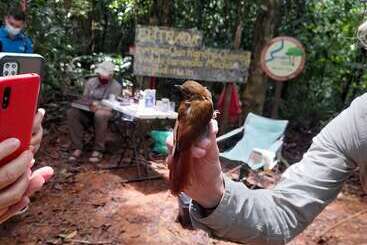 بنسيون Rancho Verde De Osa
