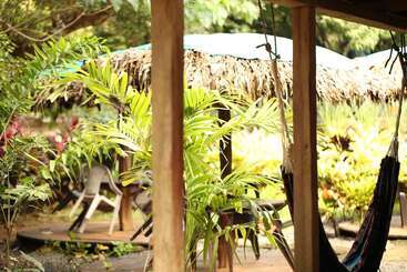 Tiki Lodge Bar & Restaurant   Hostel