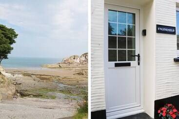 کلبه Enginefield