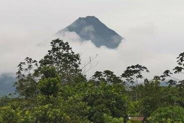 ホテル La Palmera Real