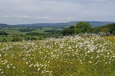 Meadow Cottage At Hill Top Farm