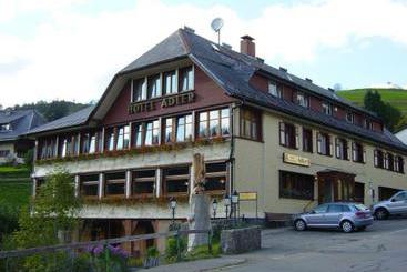 Отель Adler