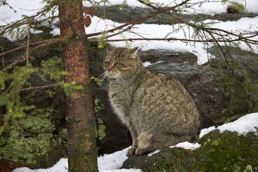 호텔 Haus Jägerfleck