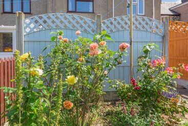 קוטג'' 40 New Row