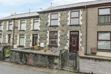 Сельский дом Bryn Eithin