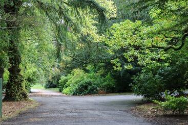 بيت ريفى East Lodge