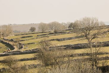 کلبه Swallow Barn