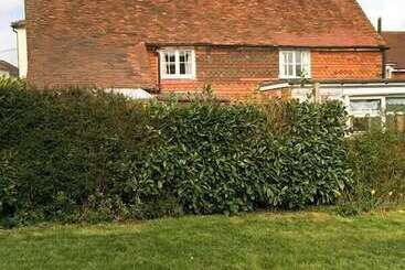 بيت ريفى 1 St. Marys Lane