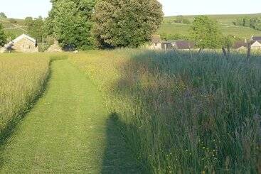 کلبه 3 Primitive Mews