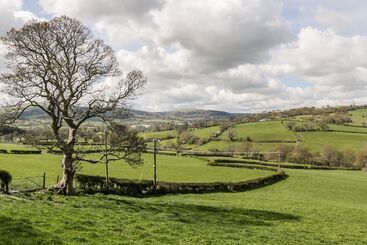 Сельский дом Alpine Lodge