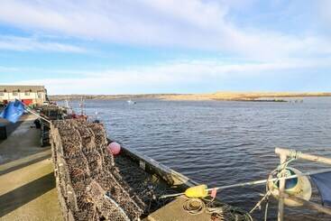 کلبه Driftwood Apartment