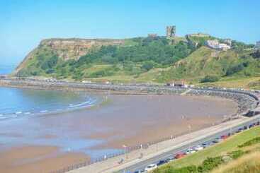 بيت ريفى Picadore