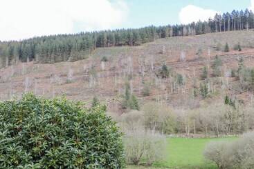 The Little White Cottage