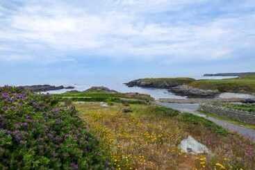 بيت ريفى Ty R Enfys Bach   Upper