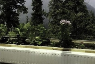 Alpine Hotel  Nathiagali