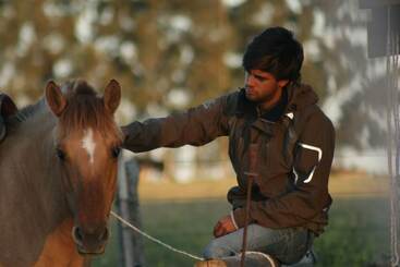 El Galope Horse Farm & Hostel