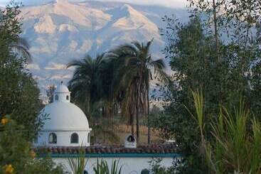 酒店 Las Palmeras Inn