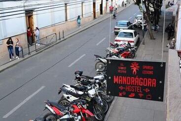 پانسیون Mandragora Hostel