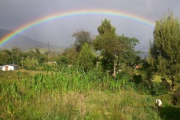 膳宿费 The Lost Leprechaun Ecohostel