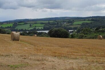 Сельский дом The Meadow