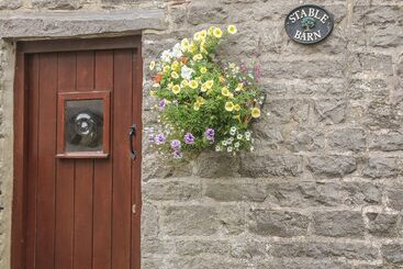 קוטג'' Stable Barn