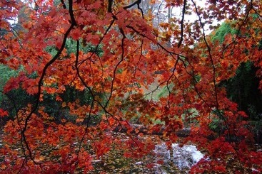 コテージ The Clock House