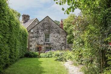 קוטג'' The Studio