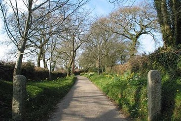 Tumrose Cottage