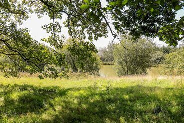 コテージ Wagtail