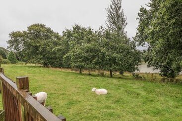 コテージ Woodpecker