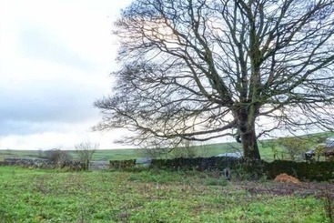 کلبه 3 Primitive Croft