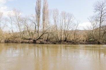 5 Wye Rapid Cottages