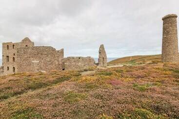 コテージ Apartment 1, Trearren