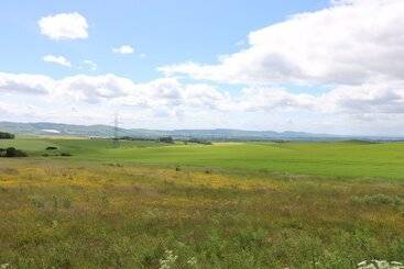 별장 Brae Of Airlie Farm