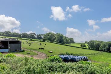 بيت ريفى Downside