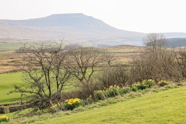 コテージ Netherscar