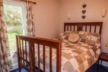 بيت ريفى Teifi House