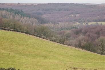 별장 The Old Robin Hood