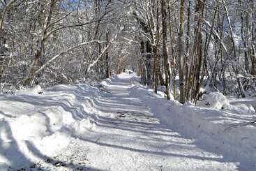 צימר Chambres D Hôtes   La Clé Des Bois