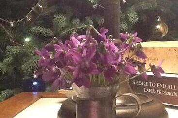 هتل Kamarca House