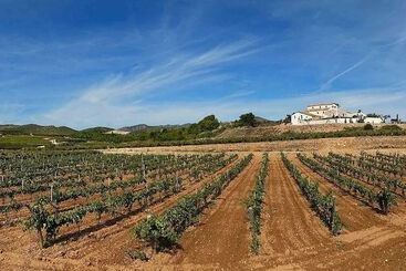 בית מלון כפרי Mas Llagostera