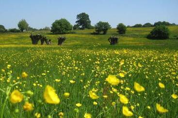 استراحتگاه Bungalowpark Landsrade