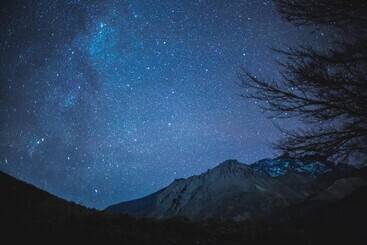 هتل Azalea Luxury Lodge