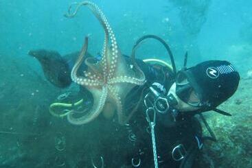 B&b Casa Di Antonio_etna Vacanze