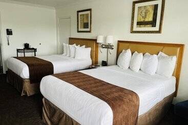 בית מלון כפרי The Pines Country Inn