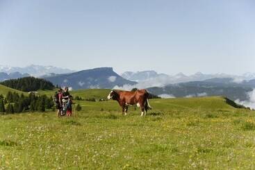 בית מלון כפרי Eco Bivouac Village D Igloo   Campground