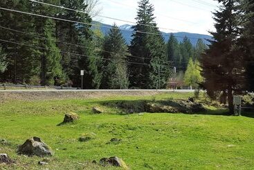 Отель Mountain View Lodge   No Pets Allowed