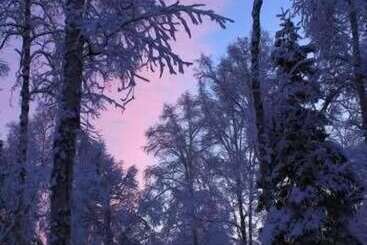 بنسيون Meandering Moose Lodging
