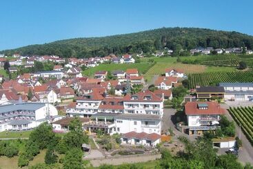 ホテル Restaurant Südpfalz Terrassen